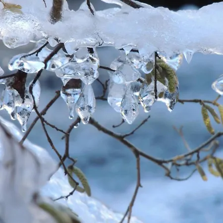 4 Personnes En Centre-ville Proche Des Thermes - Fr-1-234-287 *