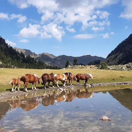 4 Personnes En Centre-ville Proche Des Thermes - Fr-1-234-287